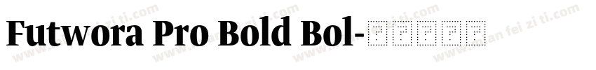 Futwora Pro Bold Bol字体转换